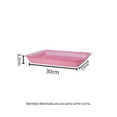 BANDEJA B20 FUNDA ROSA - CF-020