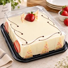 EMBALAGEM PET TORTA RETANGULAR MINI PRETA - G 45CT