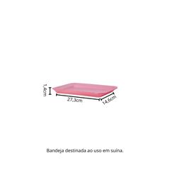 BANDEJA AUTO-ABSORVENTE B4 RASA ROSA - 10SLE