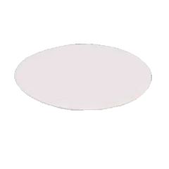DISCO ISOPOR BRANCO 30CM
