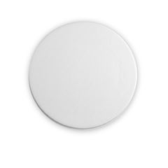 DISCO ISOPOR BRANCO 25CM - TDI-25