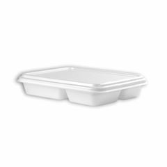 MARMITEX DE ISOPOR RETANGULAR COM TAMPA COM 4 DIVISÓRIAS - PT-110
