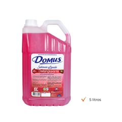SABONETE LIQ DOMUS DESENGRAXANTE 5L