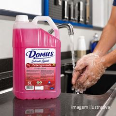 SABONETE LIQ DOMUS DESENGRAXANTE 5L