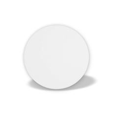 DISCO ISOPOR BRANCO 30CM - ISO-30